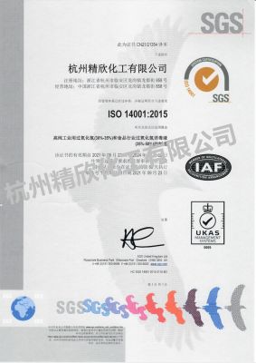 Environmental System Certification Certificate